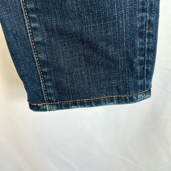 Pilcro and the Letterpress Blue Stet Cropped Jeans Size 27 - Picture 8 of 10